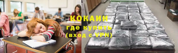 твердый Михайловка